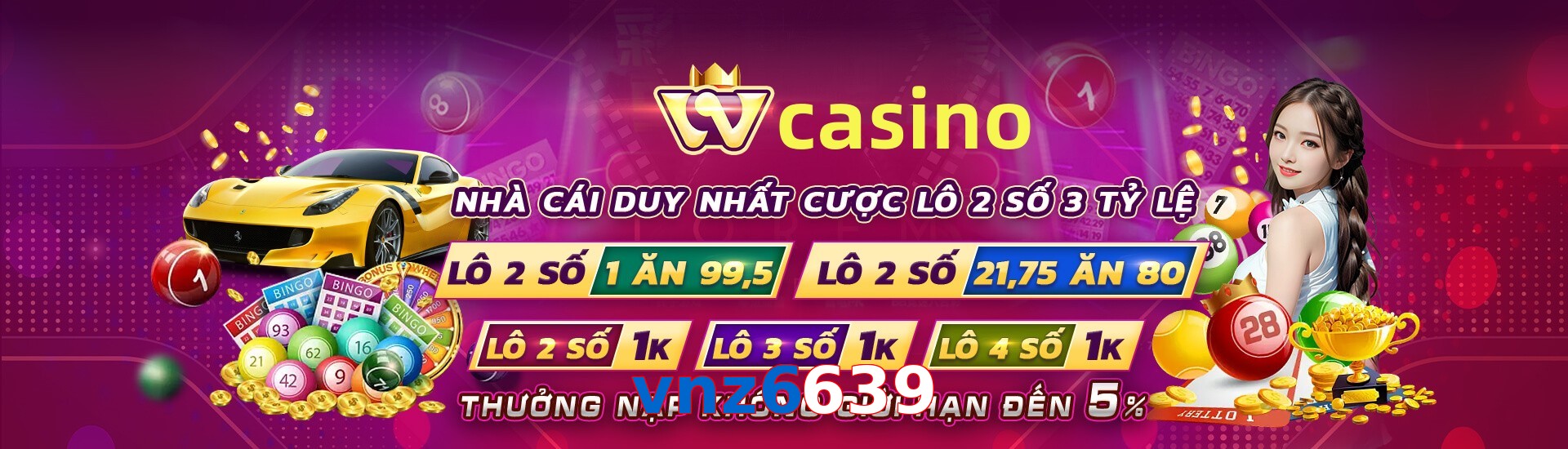 vnz6639